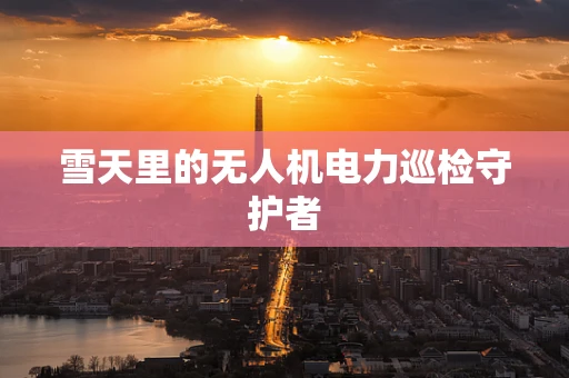 雪天里的无人机电力巡检守护者