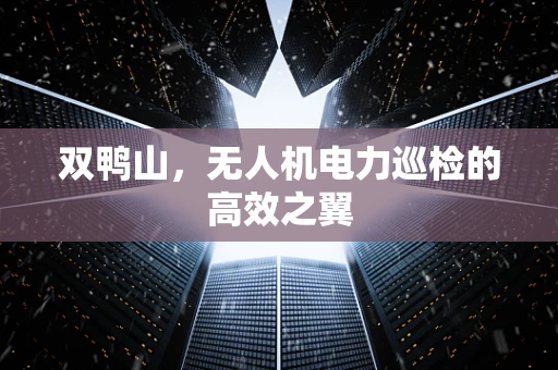 双鸭山，无人机电力巡检的高效之翼