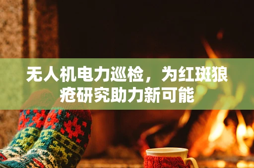 无人机电力巡检，为红斑狼疮研究助力新可能