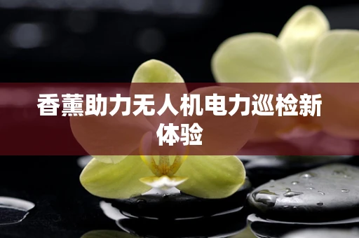 香薰助力无人机电力巡检新体验