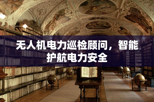无人机电力巡检顾问，智能护航电力安全