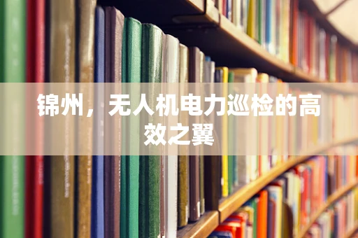 锦州，无人机电力巡检的高效之翼