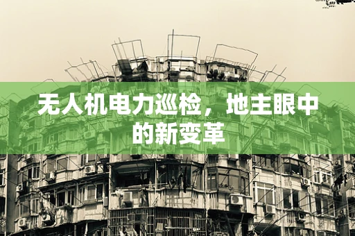 无人机电力巡检，地主眼中的新变革