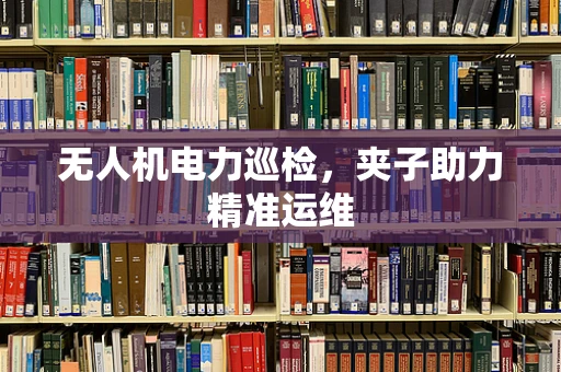 无人机电力巡检，夹子助力精准运维