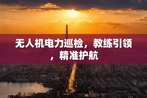 无人机电力巡检，教练引领，精准护航