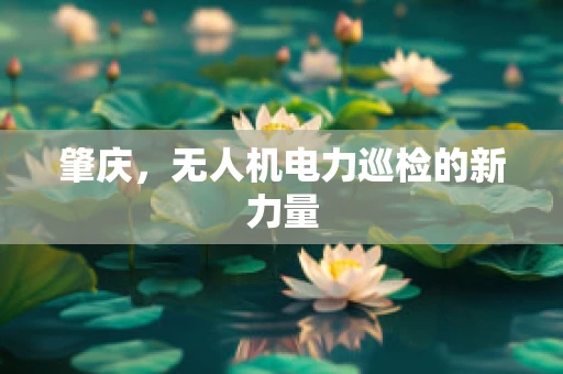 肇庆，无人机电力巡检的新力量