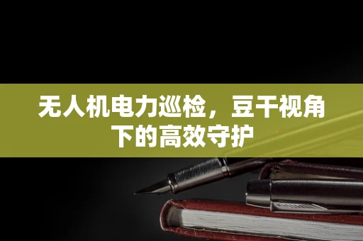 无人机电力巡检，豆干视角下的高效守护