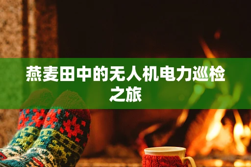 燕麦田中的无人机电力巡检之旅