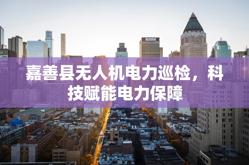 嘉善县无人机电力巡检，科技赋能电力保障