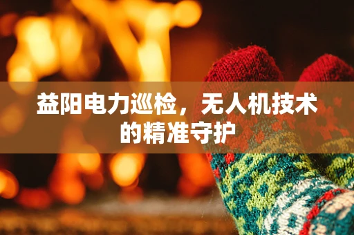 益阳电力巡检，无人机技术的精准守护