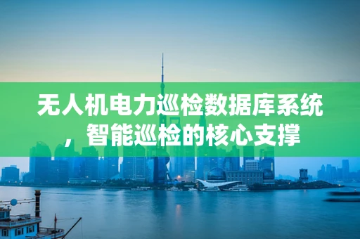 无人机电力巡检数据库系统，智能巡检的核心支撑