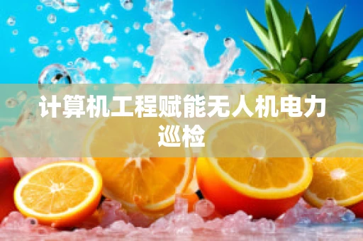 计算机工程赋能无人机电力巡检