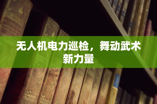 无人机电力巡检，舞动武术新力量
