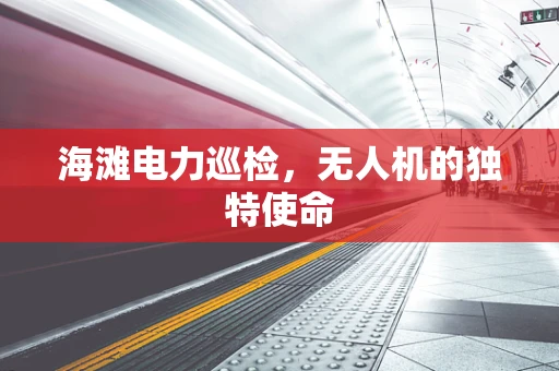 海滩电力巡检，无人机的独特使命
