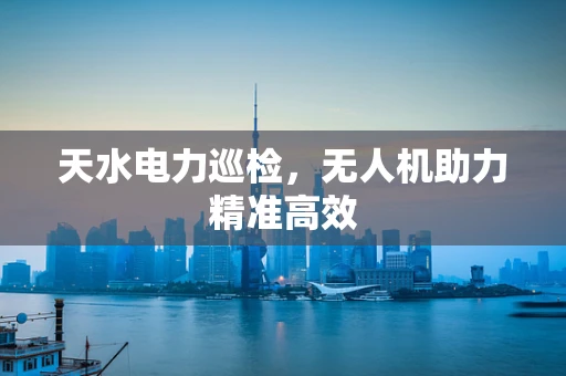 天水电力巡检，无人机助力精准高效