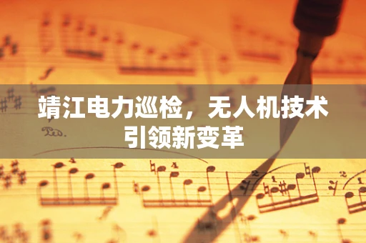 靖江电力巡检，无人机技术引领新变革