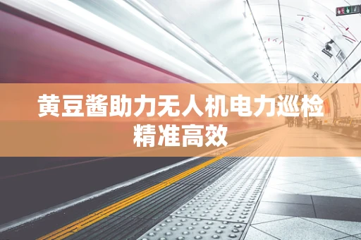 黄豆酱助力无人机电力巡检精准高效