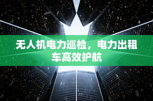 无人机电力巡检，电力出租车高效护航