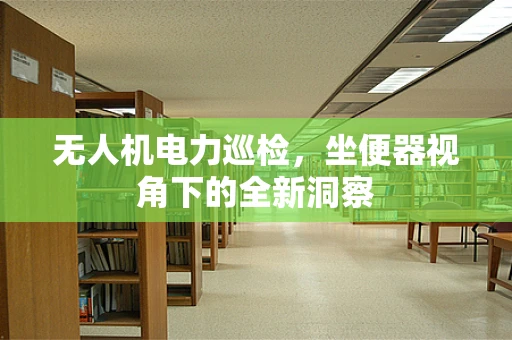 无人机电力巡检，坐便器视角下的全新洞察