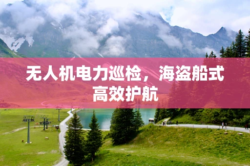 无人机电力巡检，海盗船式高效护航
