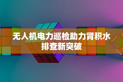 无人机电力巡检助力肾积水排查新突破