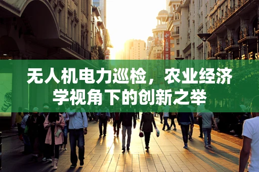 无人机电力巡检，农业经济学视角下的创新之举