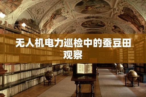 无人机电力巡检中的蚕豆田观察