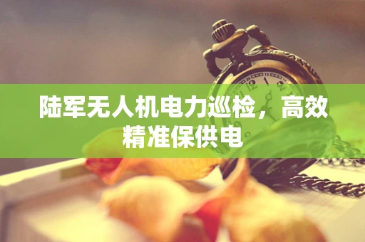 陆军无人机电力巡检，高效精准保供电