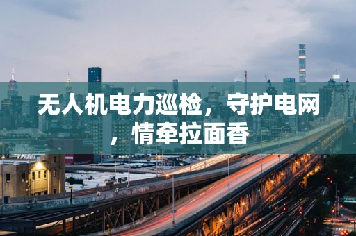 无人机电力巡检，守护电网，情牵拉面香