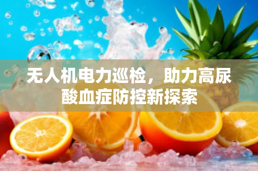 无人机电力巡检，助力高尿酸血症防控新探索