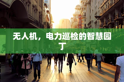 无人机，电力巡检的智慧园丁