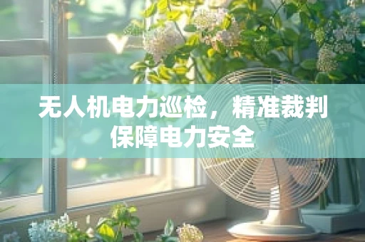 无人机电力巡检，精准裁判保障电力安全
