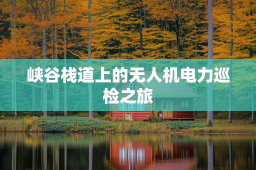 峡谷栈道上的无人机电力巡检之旅