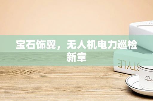 宝石饰翼，无人机电力巡检新章