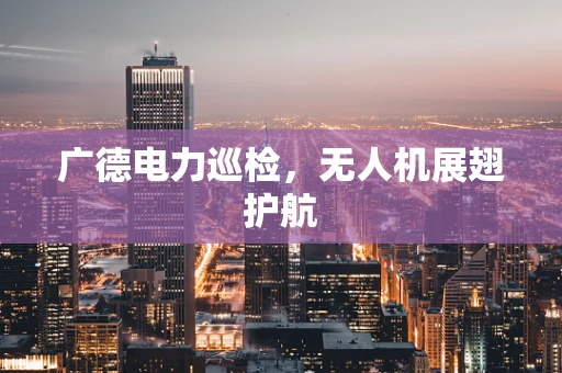 广德电力巡检，无人机展翅护航
