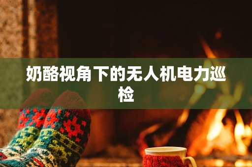 奶酪视角下的无人机电力巡检