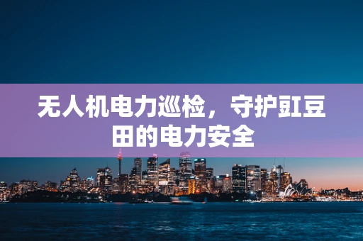 无人机电力巡检，守护豇豆田的电力安全