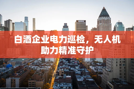 白酒企业电力巡检，无人机助力精准守护