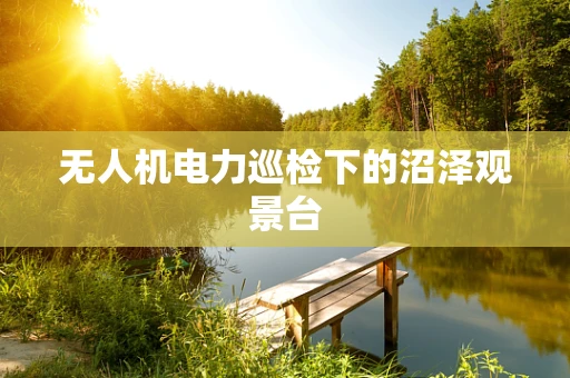 无人机电力巡检下的沼泽观景台