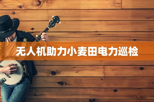 无人机助力小麦田电力巡检