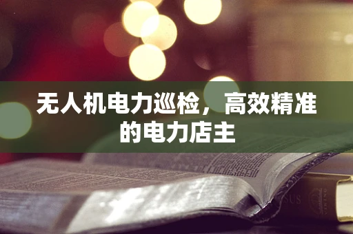 无人机电力巡检，高效精准的电力店主
