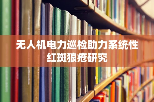 无人机电力巡检助力系统性红斑狼疮研究