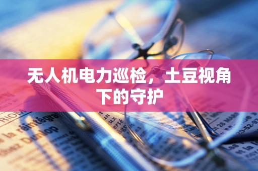 无人机电力巡检，土豆视角下的守护