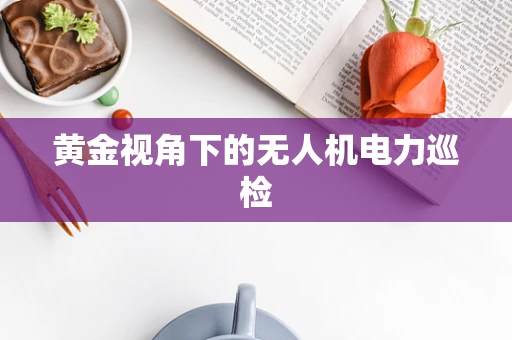 黄金视角下的无人机电力巡检