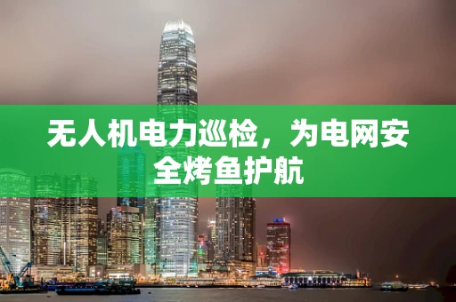 无人机电力巡检，为电网安全烤鱼护航