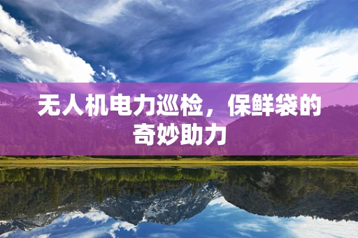 无人机电力巡检，保鲜袋的奇妙助力