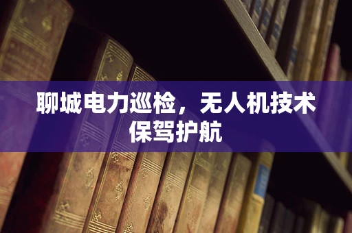 聊城电力巡检，无人机技术保驾护航