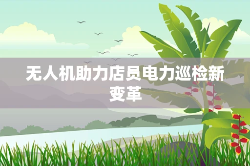 无人机助力店员电力巡检新变革