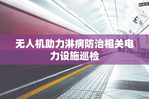 无人机助力淋病防治相关电力设施巡检