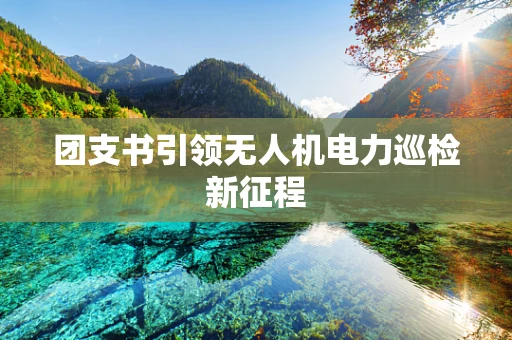 团支书引领无人机电力巡检新征程